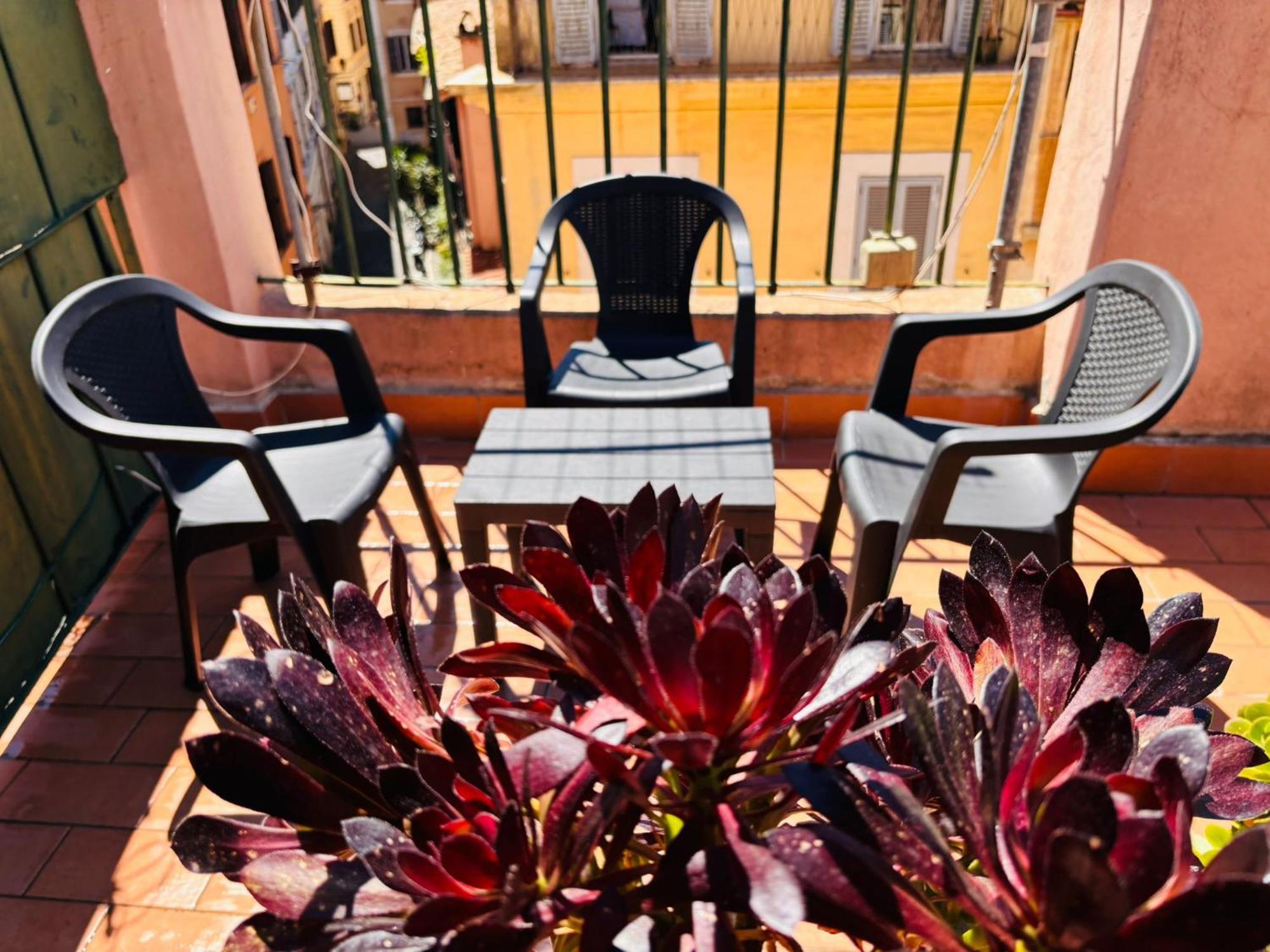 Mgpgroup Have A Nice Day, Rome